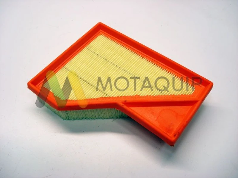 Image of MOTAQUIP Air filter MOTAQUIP LVFA1417