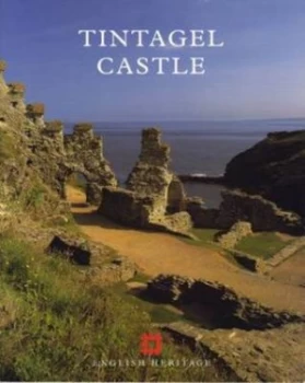 Image of Tintagel Castle by Brian K Davison Paperback