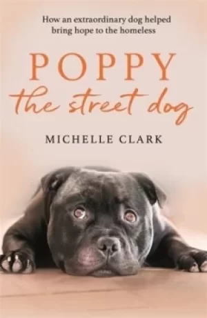 Image of Poppy the street dog by Michelle Clark