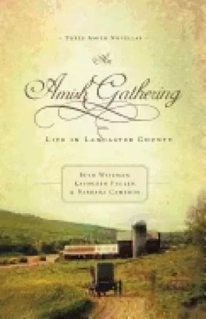 Image of amish gathering life in lancaster county