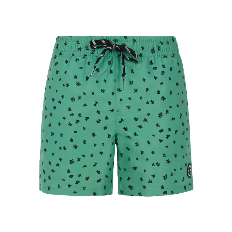Image of Protest Swim shorts Protest Juan Vert Male XS