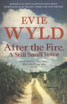 Image of After the Fire a Still Small Voice by Evie Wyld Paperback
