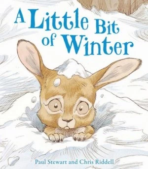 Image of A Little Bit of Winter by Paul Stewart Paperback
