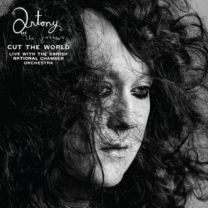 image of Antony and the Johnsons Cut The World CD