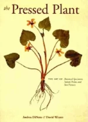 Image of pressed plant
