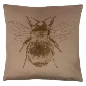 image of Nectar Bee Cushion Biscuit, Biscuit / 43 x 43cm / Cover Only