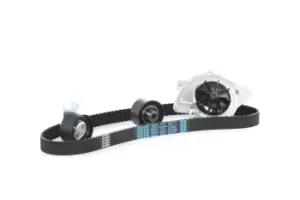 Image of AIRTEX Water Pump + Timing Belt Kit WPK-169001 FORD,FIAT,PEUGEOT,Focus II Schragheck (DA_, HCP, DP),MONDEO IV Turnier (BA7)