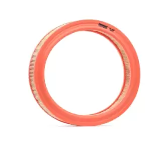 Image of FILTRON Air filter FORD,SKODA,FORD OTOSAN AR 255 PB6,PC1014,PC165 Engine air filter,Engine filter PC350,PC77,1476787,1503832,1503835,1506212,156212