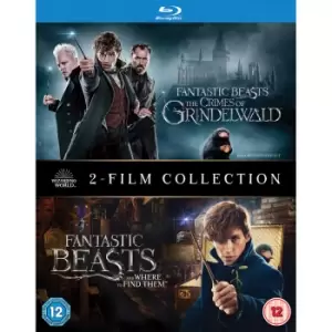 image of Fantastic Beasts: 2 Film Collection