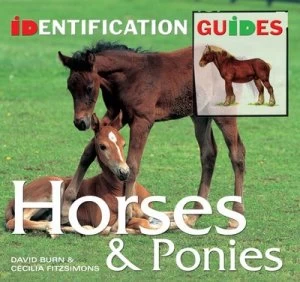 Image of Horses and Ponies by Cecilia Fitzsimons Book