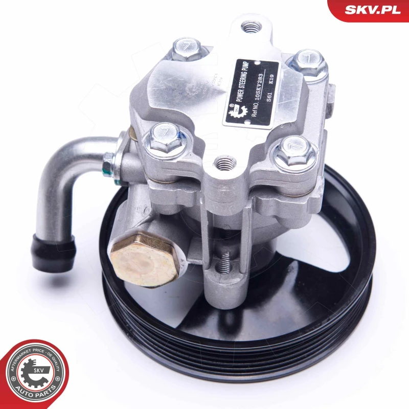 Image of ESEN SKV Power steering pump ESEN SKV 10SKV283