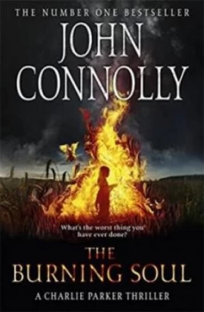 Image of The Burning Soul by John Connolly Paperback