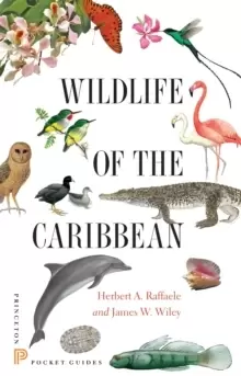Image of Wildlife of the Caribbean