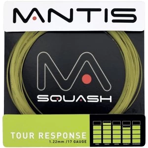 Image of MANTIS Tour Response 17G String Set 10m Natural
