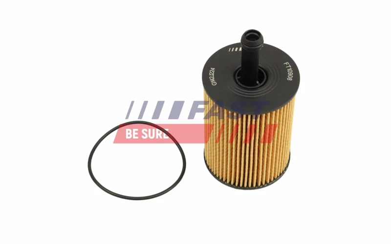 Image of FAST Oil filter FAST FT10908