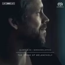 Image of The Image of Melancholy