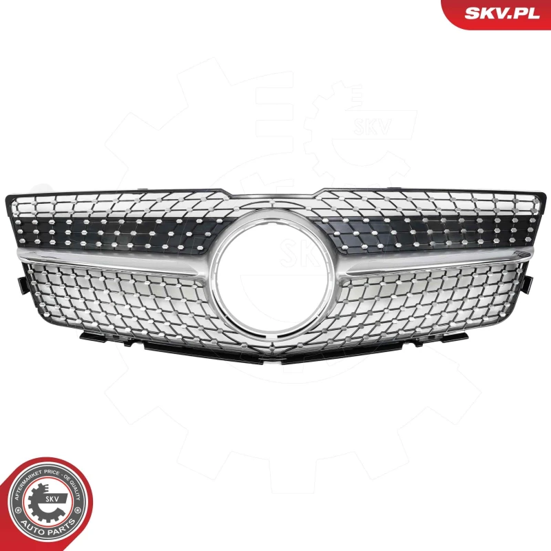 Image of ESEN SKV Radiator Grille ESEN SKV 66SKV599