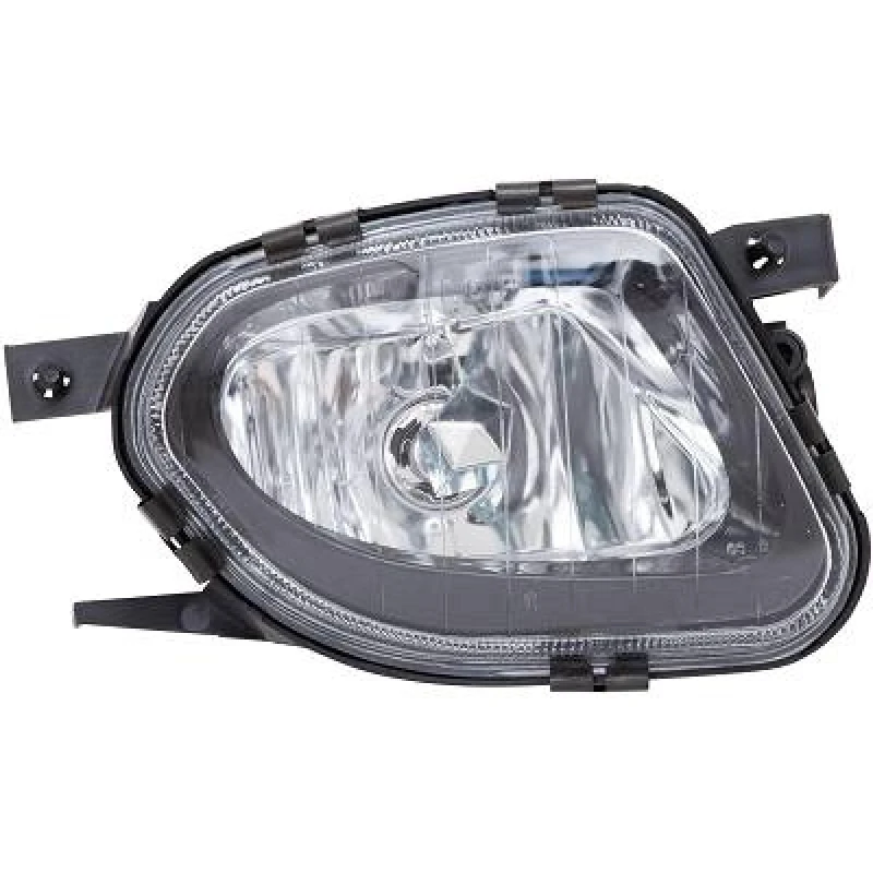 Image of Fog Light DIEDERICHS 1615688