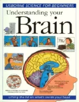Image of understanding your brain