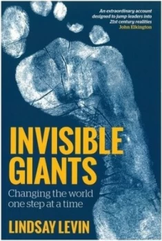 Image of Invisible Giants by Lindsay Levin Hardback