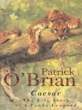 Image of Caesar by Patrick Obrian and Jane Conway Hardback