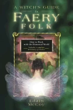 Image of witches guide to faery folk
