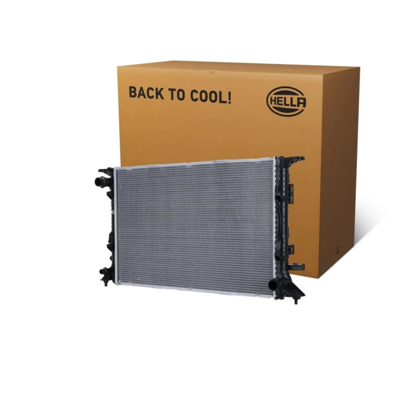 Image of HELLA Engine radiator HELLA 8MK 366 300-211