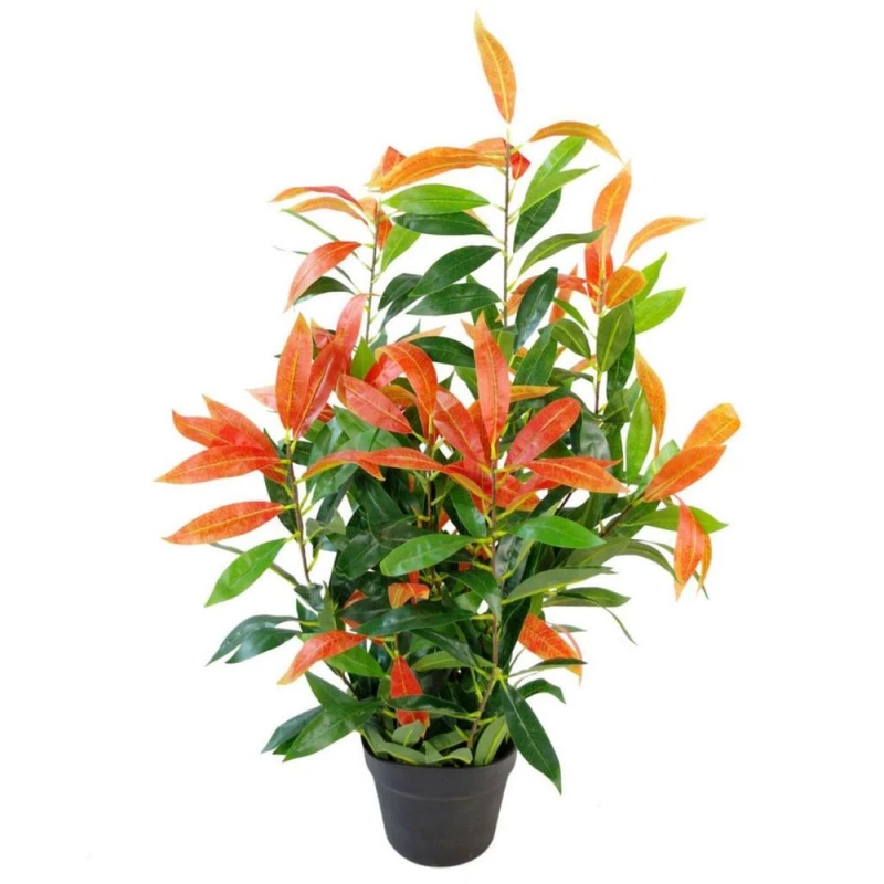 Image of Leaf 80cm Leaf Realistic Red Robin Artificial Ficus Tree / Plant Green unisex