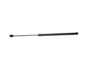 Image of RIDEX Tailgate strut FIAT,PEUGEOT,CITROEN 219G0179 8731G6,1489342080,8731G6 95851255000