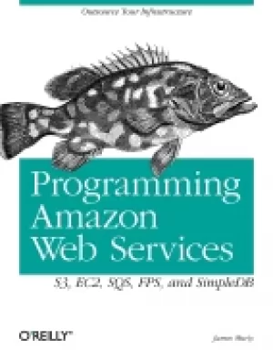 Image of programming amazon web services s3 ec2 sqs fps and simpledb murty james
