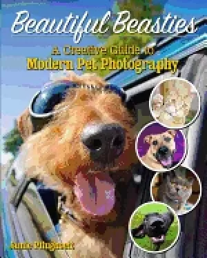 Image of beautiful beasties