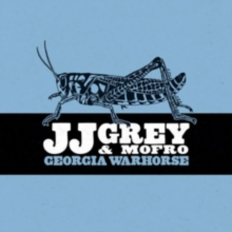 Image of Georgia Warhorse Vinyl