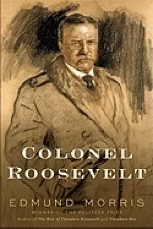 Image of colonel roosevelt