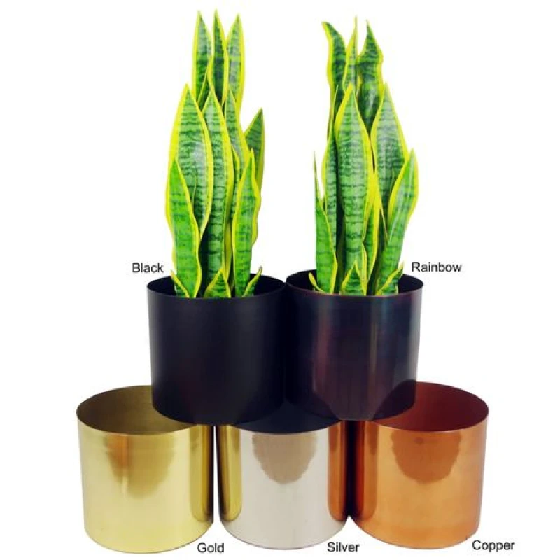 Image of Leaf 120cm Twisted Trunk Artificial Ruscus Fruticosa Style Ficus Tree in Gold Gold Unisex