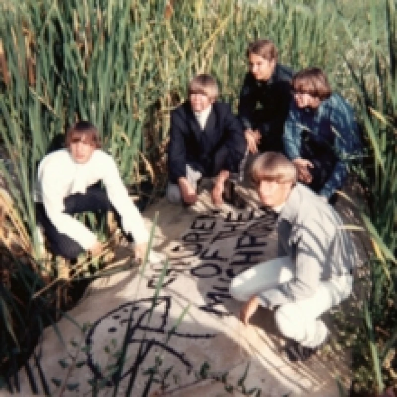 Image of Children of the Mushroom - Children of the Mushroom [CD / Album] Music CDs - Music CD