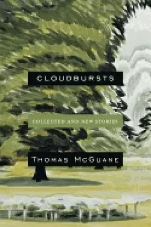 Image of cloudbursts collected and new stories