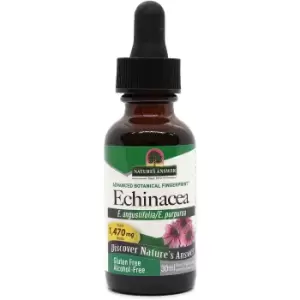 image of Nature's Answer Echinacea Root Alcohol Free 30ml