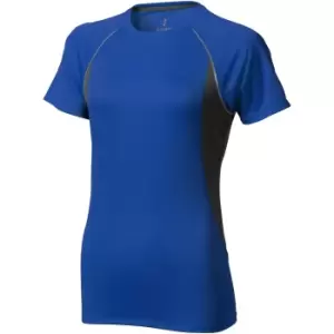 image of Elevate Womens/Ladies Quebec Short Sleeve T-Shirt (M) (Blue/Anthracite)