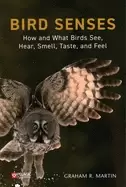 Image of bird senses how and what birds see hear smell taste and feel