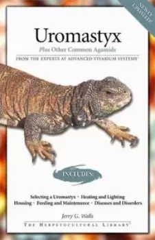 Image of Uromastyx by Jerry G. Walls