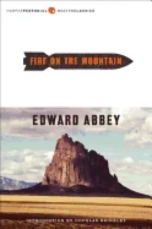 Image of fire on the mountain