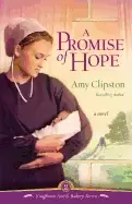 Image of promise of hope a novel