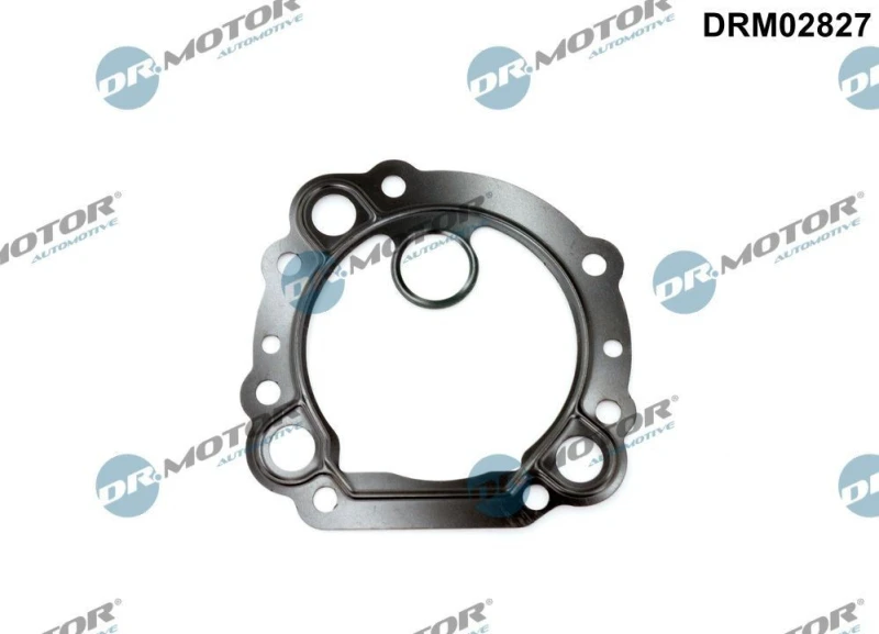 Image of DR.MOTOR AUTOMOTIVE EGR valve gasket DR.MOTOR AUTOMOTIVE DRM02827