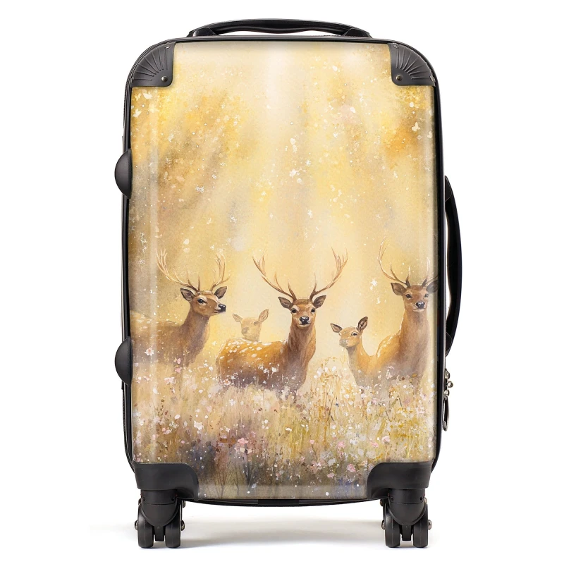 Image of Designer Luggage Ava Sterling: 00010 Suitcase Size: Large Multicolor Unisex Large
