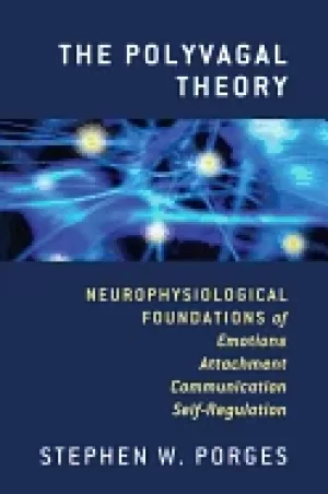 Image of polyvagal theory neurophysiological foundations of emotions attachment comm