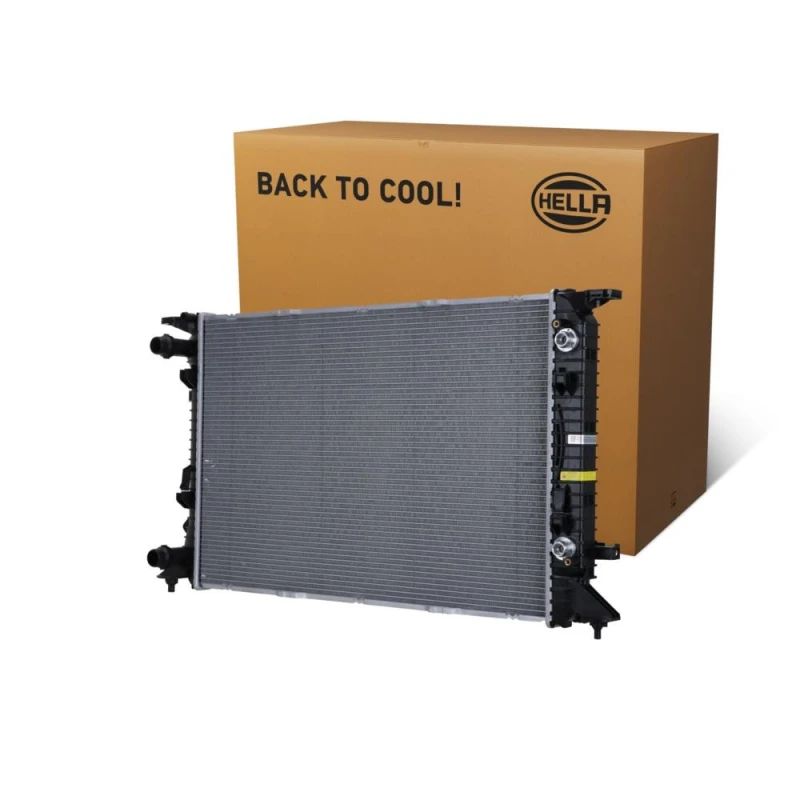 Image of HELLA Engine radiator HELLA 8MK 366 300-381