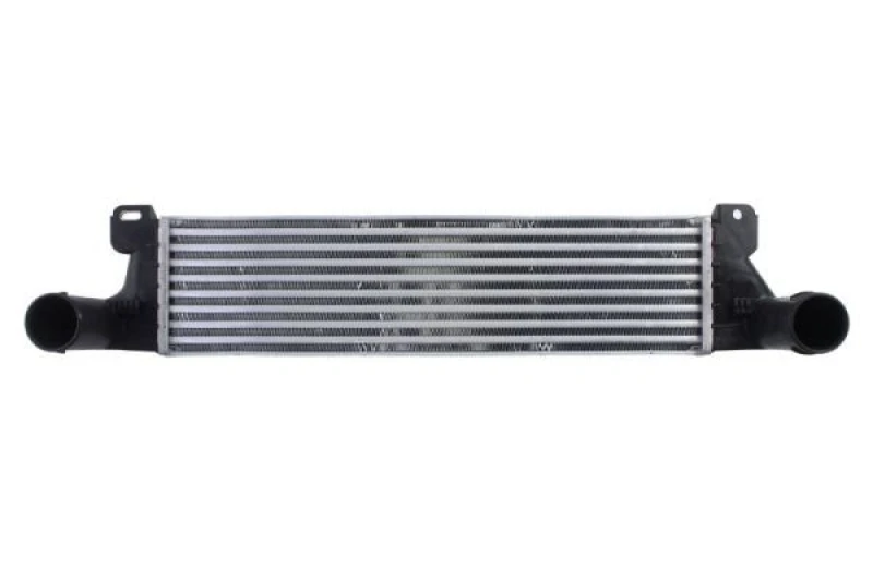 Image of THERMOTEC Intercooler THERMOTEC DAB023TT