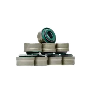 Image of RIDEX Seal Set, valve stem 323S0024 MERCEDES-BENZ,BMW,OPEL,VARIO Kasten/Kombi,Vario Pritsche / Fahrgestell,VARIO Kipper,VARIO Bus,VARIO Triebkopf