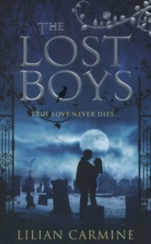 Image of The lost boys by Lilian Carmine