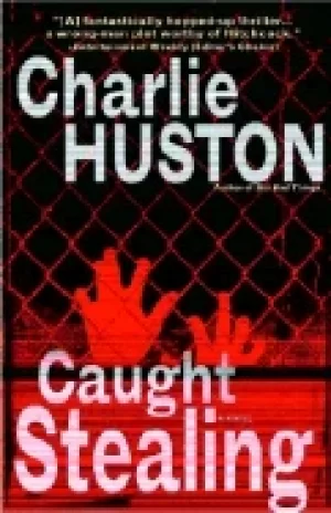 Image of caught stealing a novel